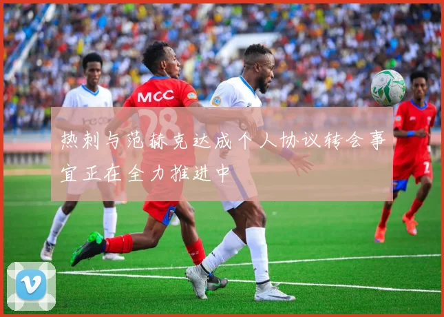 热刺与范赫克达成个人协议转会事宜正在全力推进中