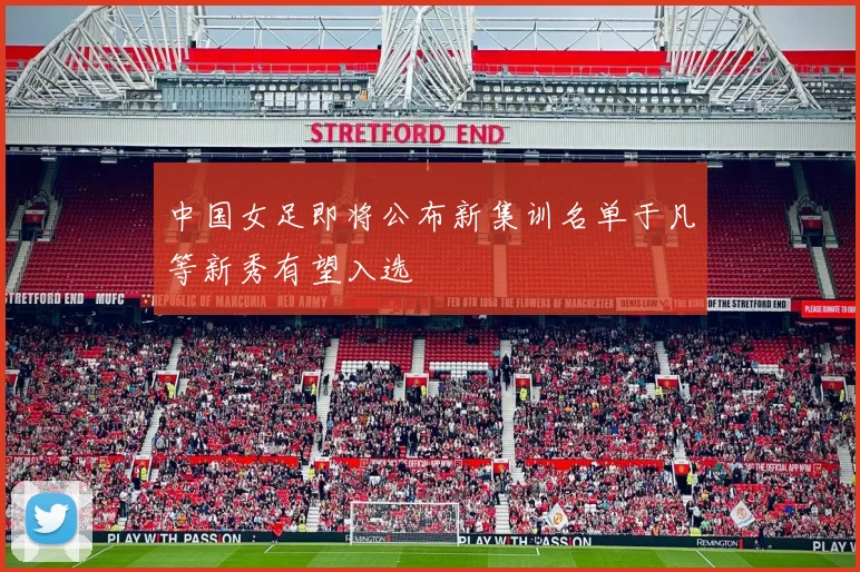 中国女足即将公布新集训名单于凡等新秀有望入选