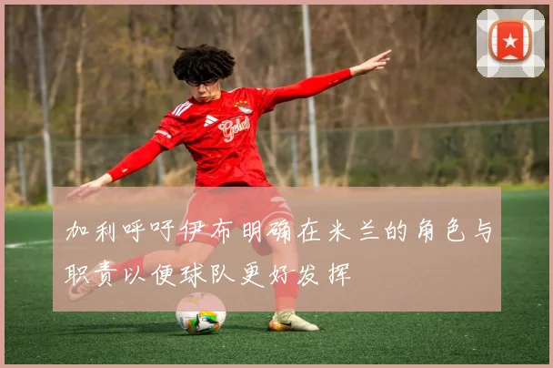 加利呼吁伊布明确在米兰的角色与职责以便球队更好发挥